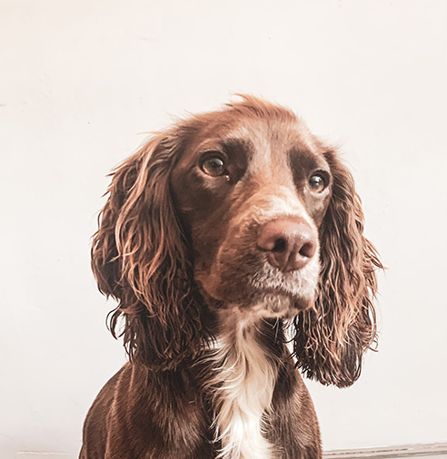Juno